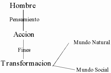 Los 3 modelos de Schaft en el sistema escolar actual