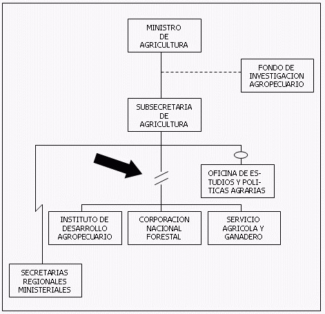 Centralización en una empresa