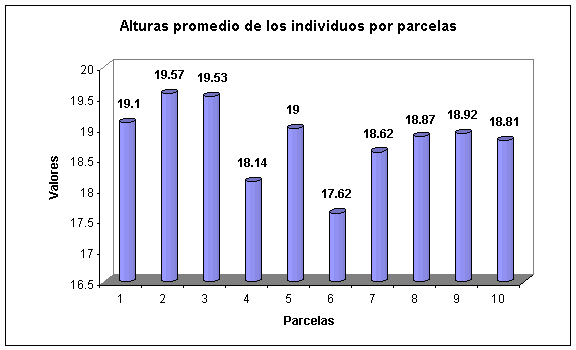 Valoración de las pérdidas de madera