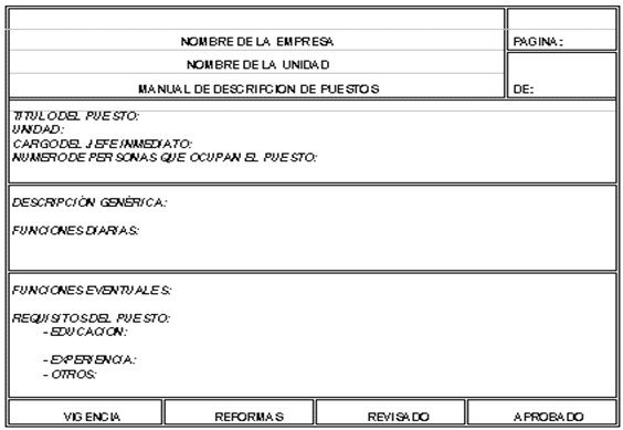 El proceso organizativo y la organización (página 3 