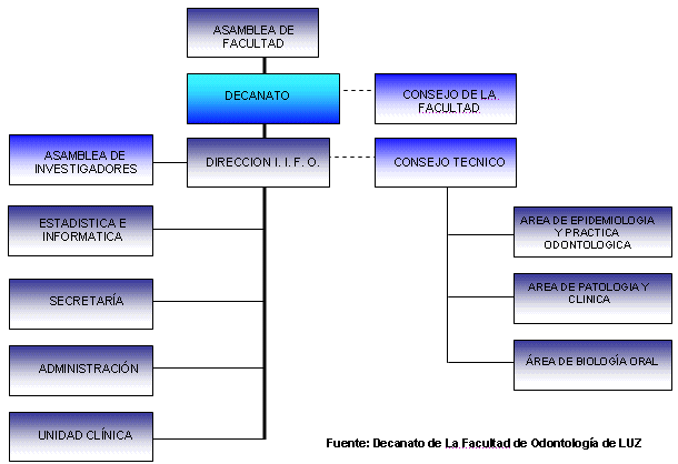 Estructura organizacional de ford