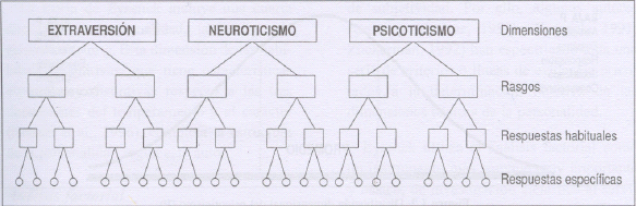 La teoría de Eysenck y sus implicaciones en el deporte (página 2)