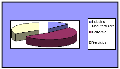 Criterios De Definicion Y Ambitos De Las Pymes Pagina 2 Monografias Com