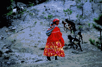 Los Indios Tarahumara De Mexico Ejemplo Insigne Para Todos Pagina 2 Monografias Com