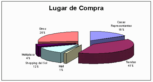 Proyecto de Inversión de una Tienda Comercial (página 2)