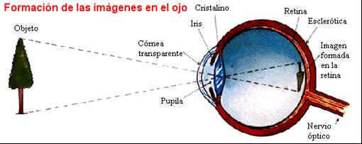 Visión