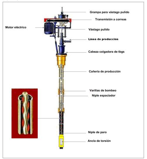 diagrama de bomba de cavidad progresiva