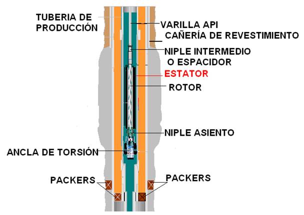 diagrama de bomba de cavidad progresiva