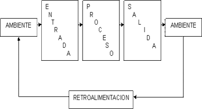 Elementos sistemáticos.