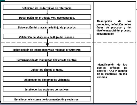 Procedimiento para la gestión de la inocuidad alimentaria en la fabricación  de pastas frescas en la empresa 