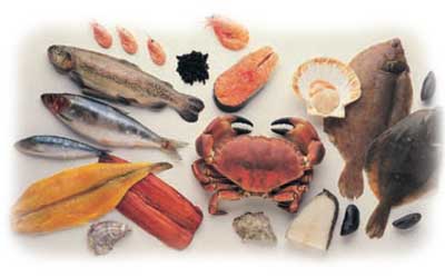 Enfermedades transmitidas por productos pesqueros (página 2)