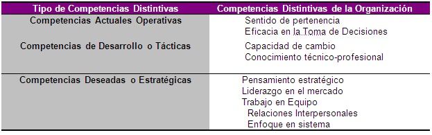 Competencias Laborales: procedimientos para su gestión estratégica (página  2)