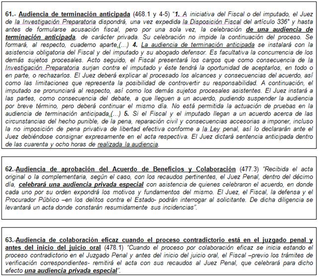 El Sistema De Audiencias En El Nuevo Código Procesal Penal (Perú-2010 ...