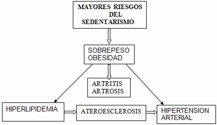 Actividad Física Salud Y Calidad De Vida