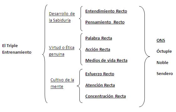 Inteligencia Espiritual y Educación Holista (página 2)