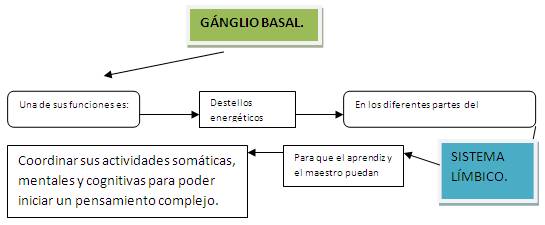 Siete pasos para llegar a un pensamiento complejo (página 2)