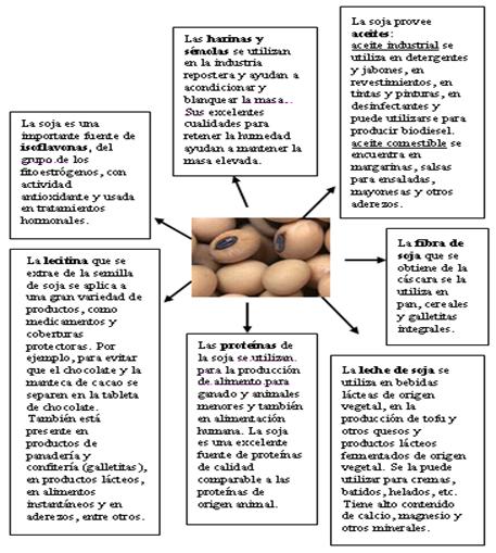 Resultado de imagen para CLASIFICACION DE LA SOJA