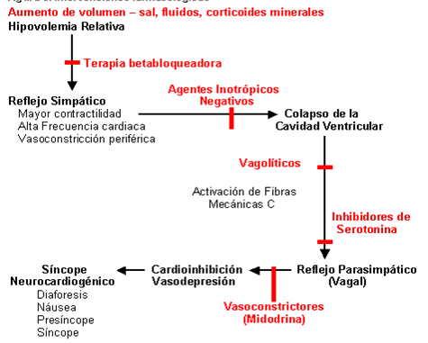 Tratamiento Del Sincope Pagina 2 Monografias Com