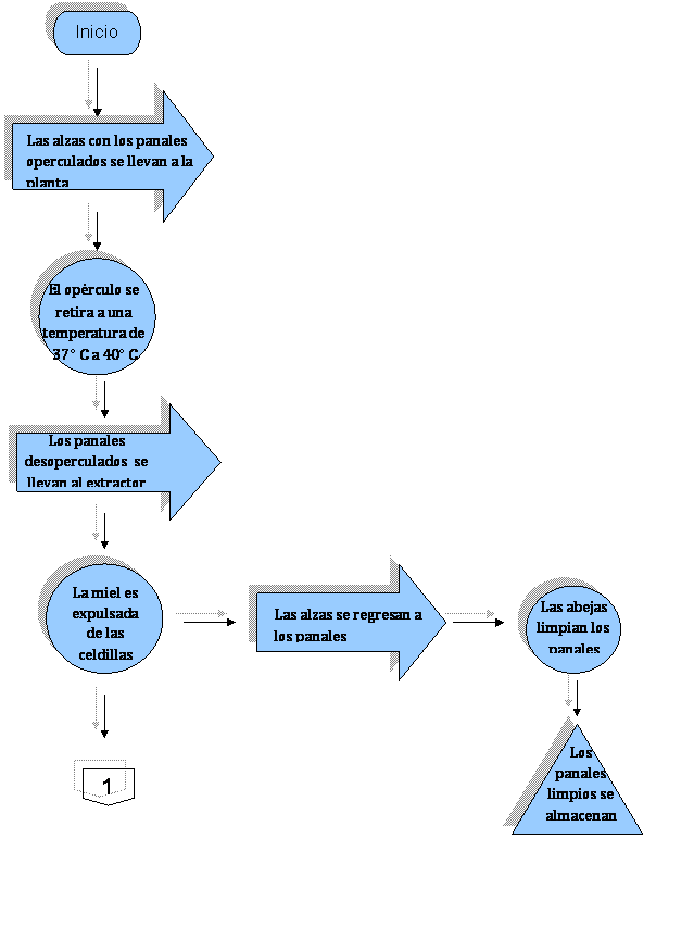 Proyecto de inversión Apícola lo nuestro