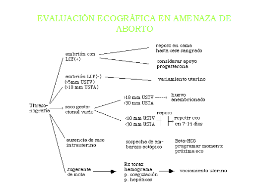 Hemorragias de la primera mitad del embarazo