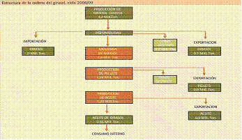 Rentabilidad del Girasol