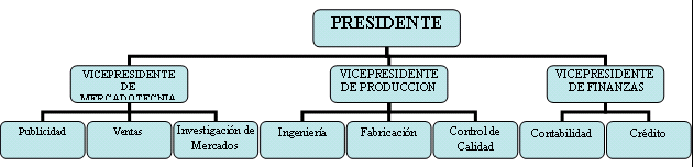 Principios de la Departamentalización Organizacional 