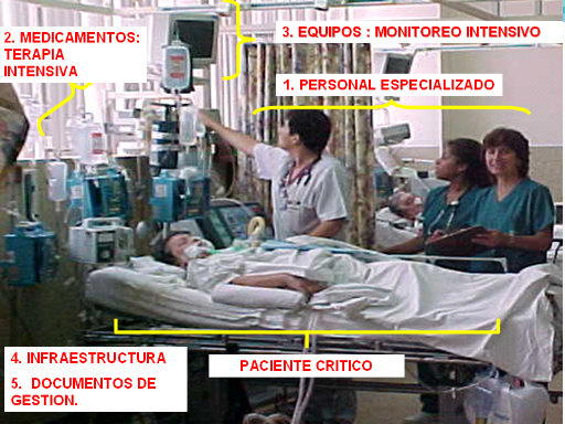 Medicina intensiva - Monografias.com