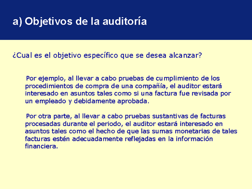 Procedimientos De Auditoría Y Muestreo - Monografias.com