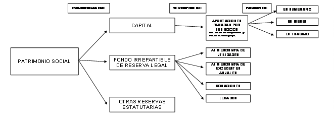 Perspectivas De La Nueva Ley Organica De Economia Popular Y