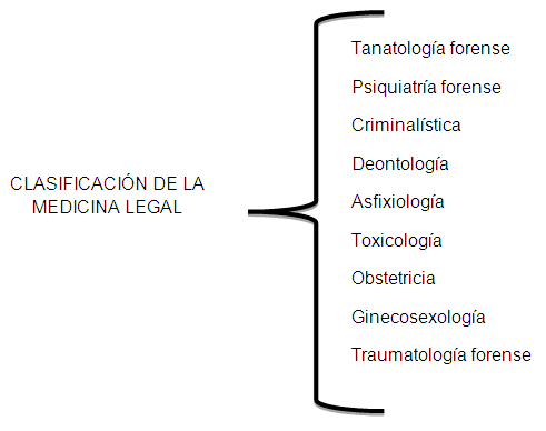 Resultado de imagen de ramas de la medicina forense