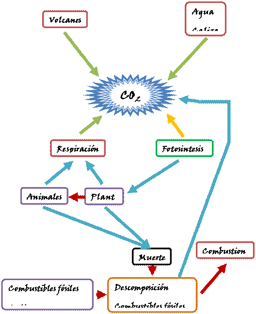 Ecología y medio ambiente