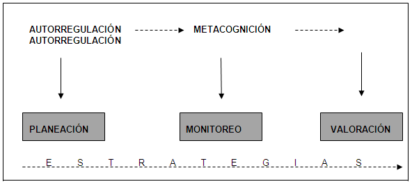 Estrategias del aprendizaje superior (página 2)