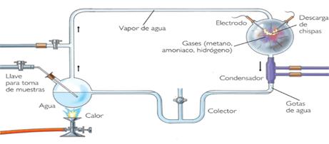 Experimento: El Caldo Primordial - Monografias.com