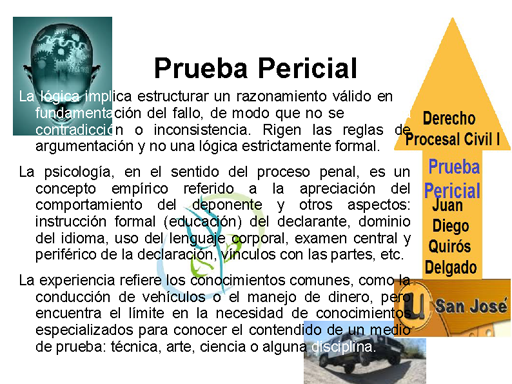 Prueba Pericial