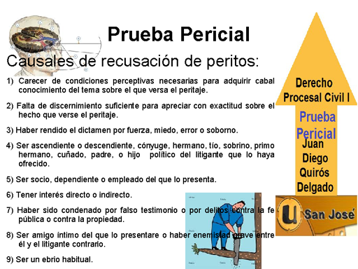 Prueba Pericial