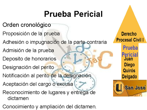 Prueba Pericial