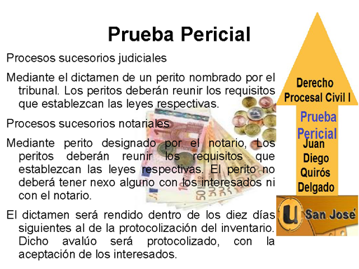 Prueba Pericial