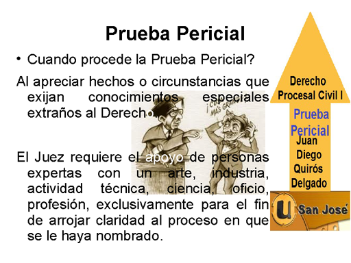 Prueba Pericial