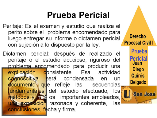 Prueba Pericial