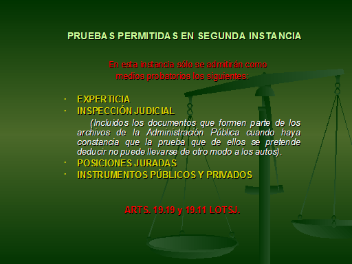 Procedimiento en segunda instancia que se sigue en los recursos de nulidad  contra los actos administrativos