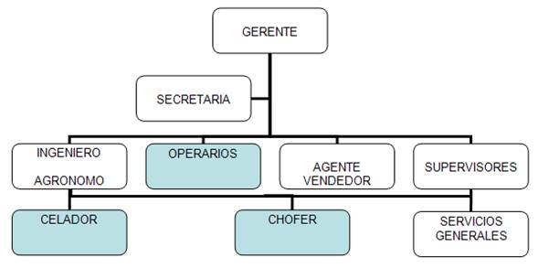 Empresas de andamios