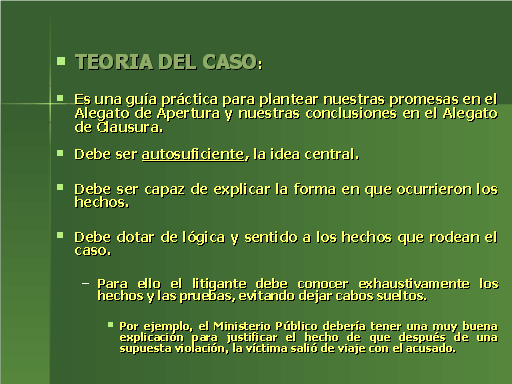 Teoría Del Caso